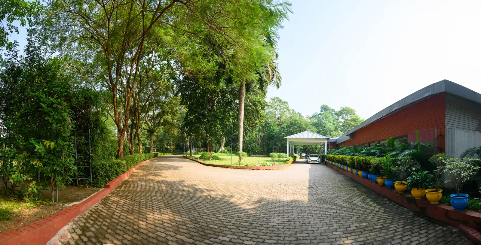 Tree-lined driveway leading up to the porch at Sinclairs Retreat Dooars