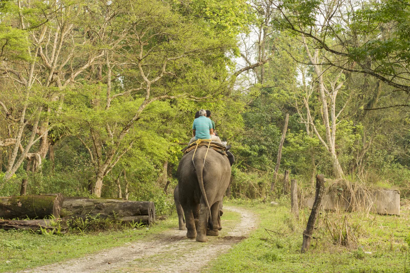 Gorumara National Park (14 km)