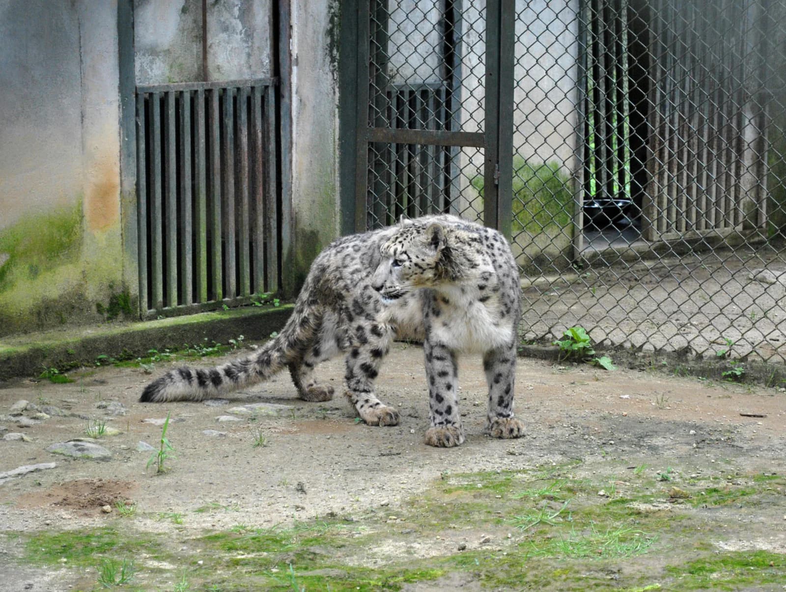 Himalayan Zoological Park